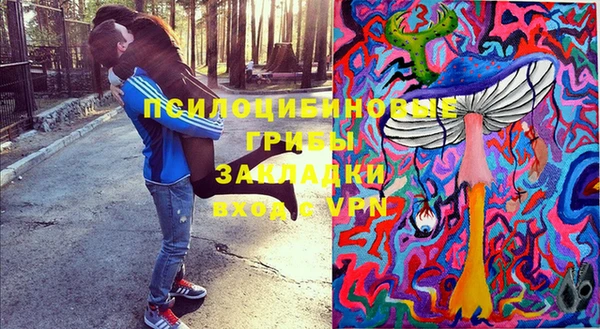 МДПВ Алзамай