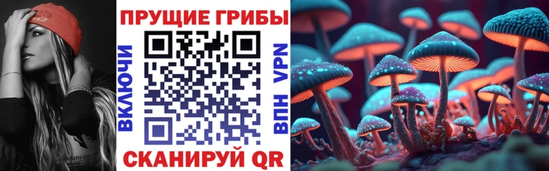 Псилоцибиновые грибы GOLDEN TEACHER  mega сайт  Сураж 